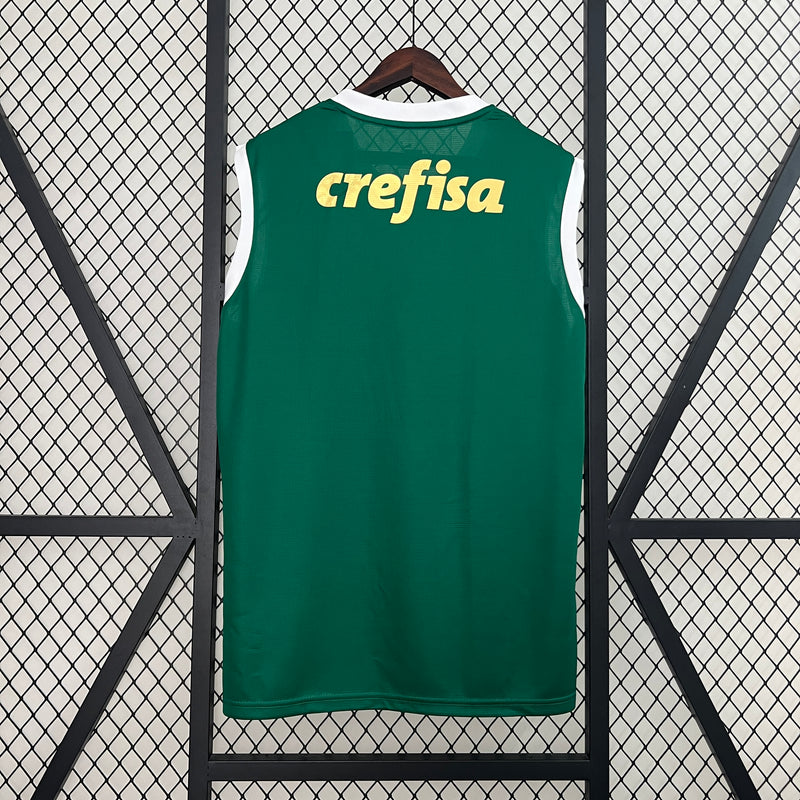 CAMISA REGATA DO PALMEIRAS 24/25 VERDE