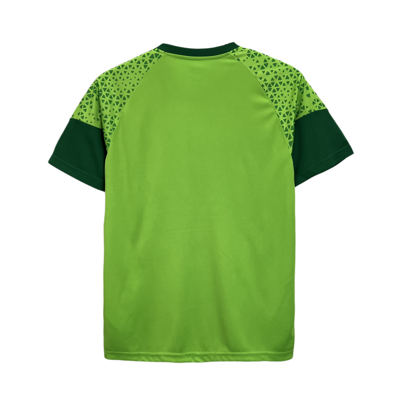 CAMISA TREINO DO PALMEIRAS 24/25 VERDE