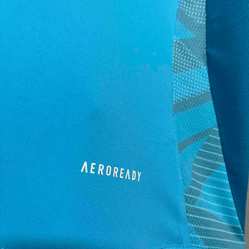 CAMISA TREINO DO FLAMENGO 25/26 AZUL CLARO